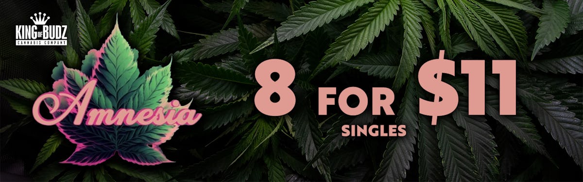 8/$11 Amnesia Single Gummies