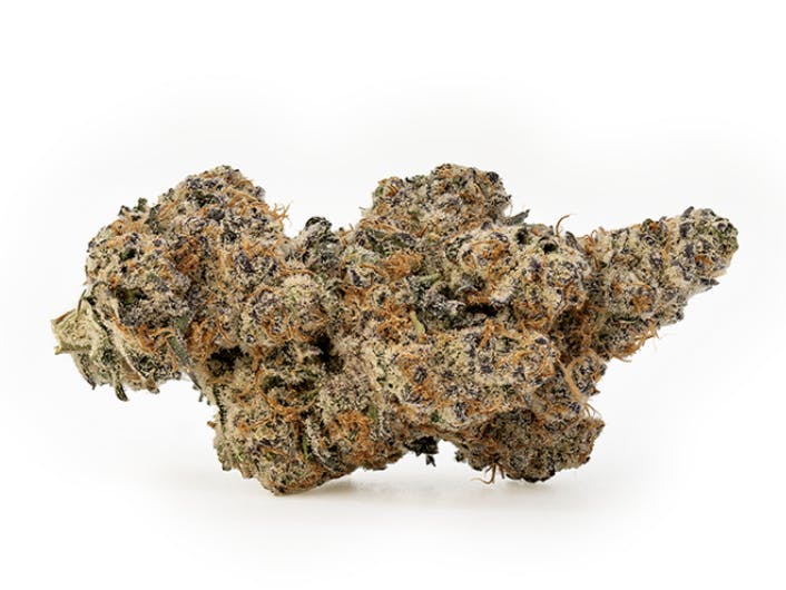 Bud & Mary's | Bulk Bud - Oreo Cake x Mai Tai