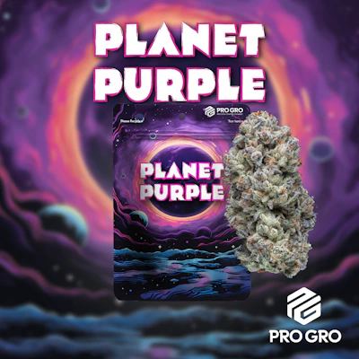 Pro Gro - 3.5g Prepack - Planet Purple - FLOWER by Pro Gro at King of Budz
