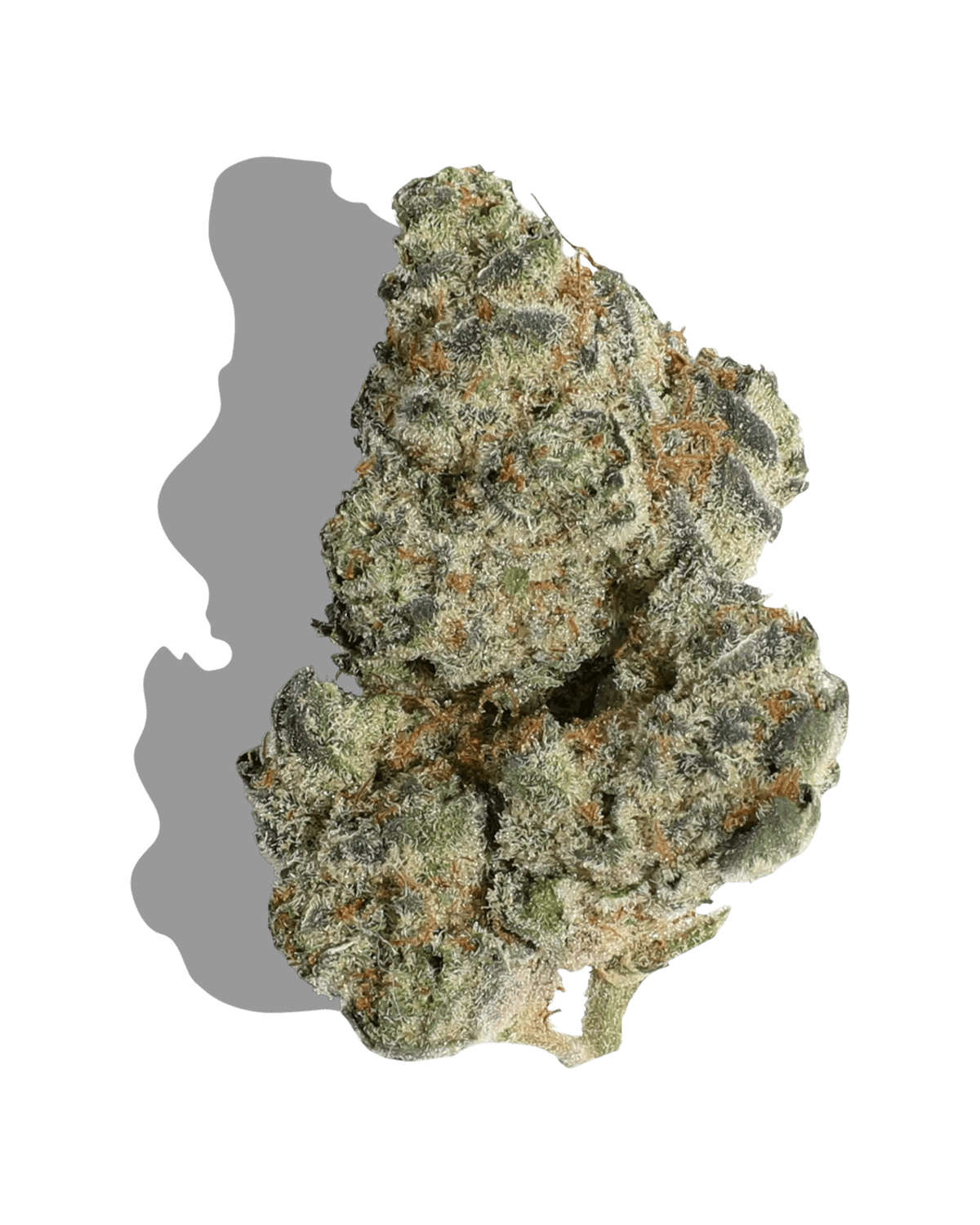 Photo of Platinum Shelf – Deep Space (I)