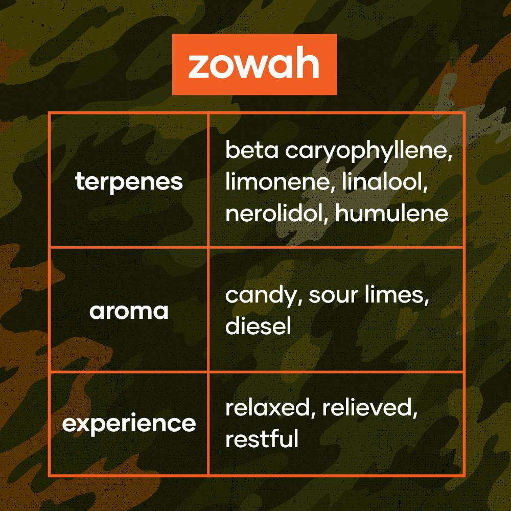 Codes: Flower | Zowah | 3.5g | CODES - Cape Girardeau