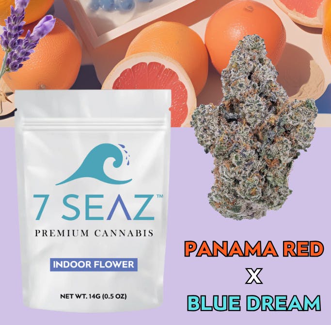 7 Seaz - Panama Red x Blue Dream Flower - 14g