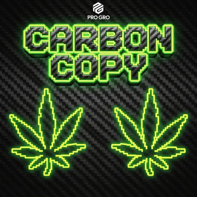 DELI - Pro Gro - Carbon Copy