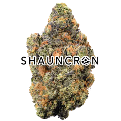 Gravitron
