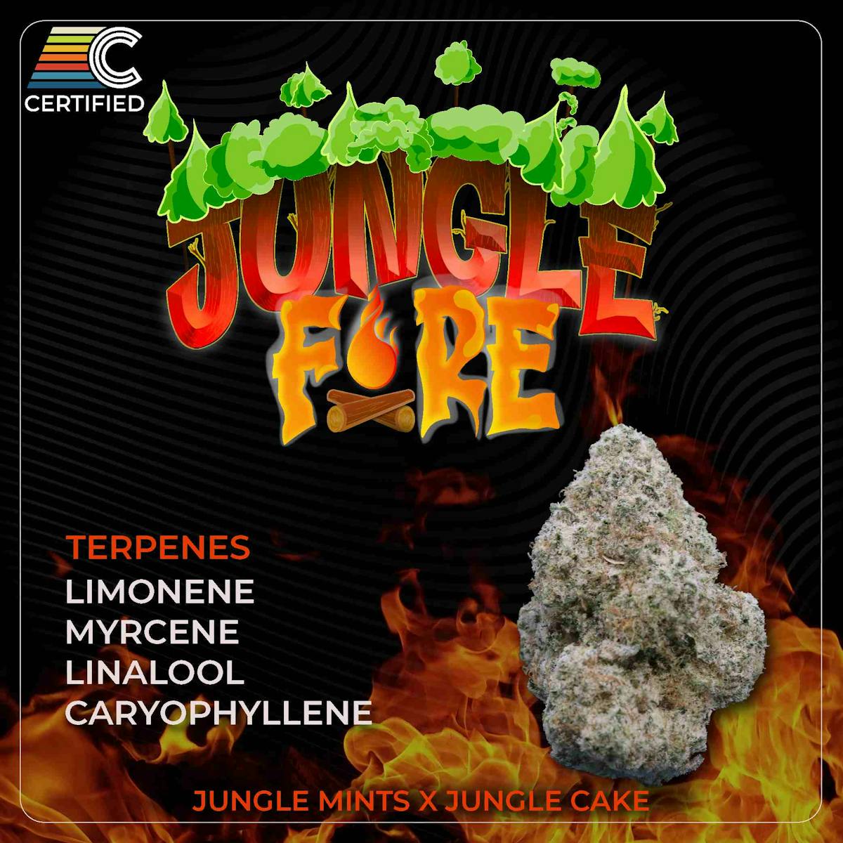 Photo of Jungle Fire