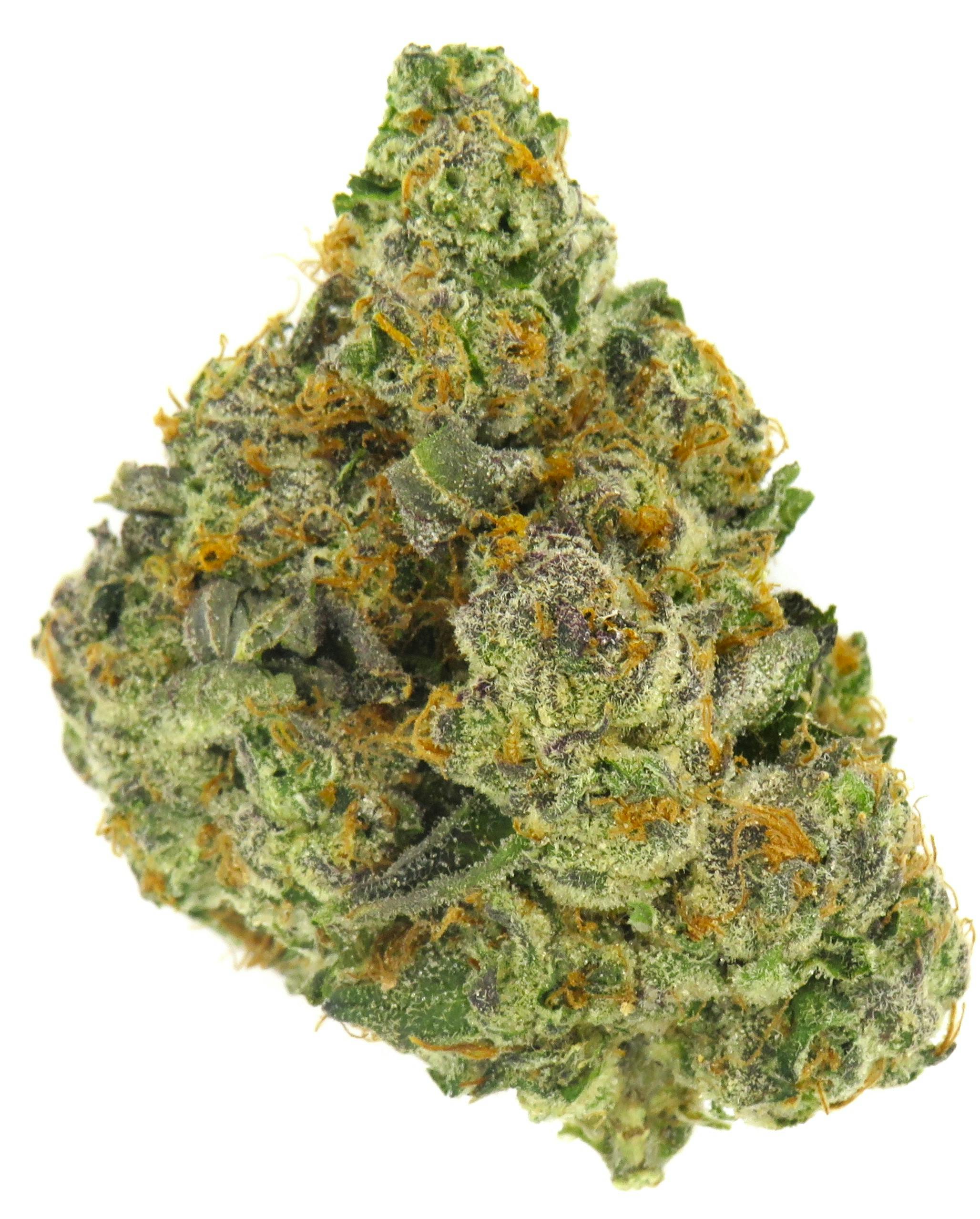 Glitter Bomb | Redbud Roots