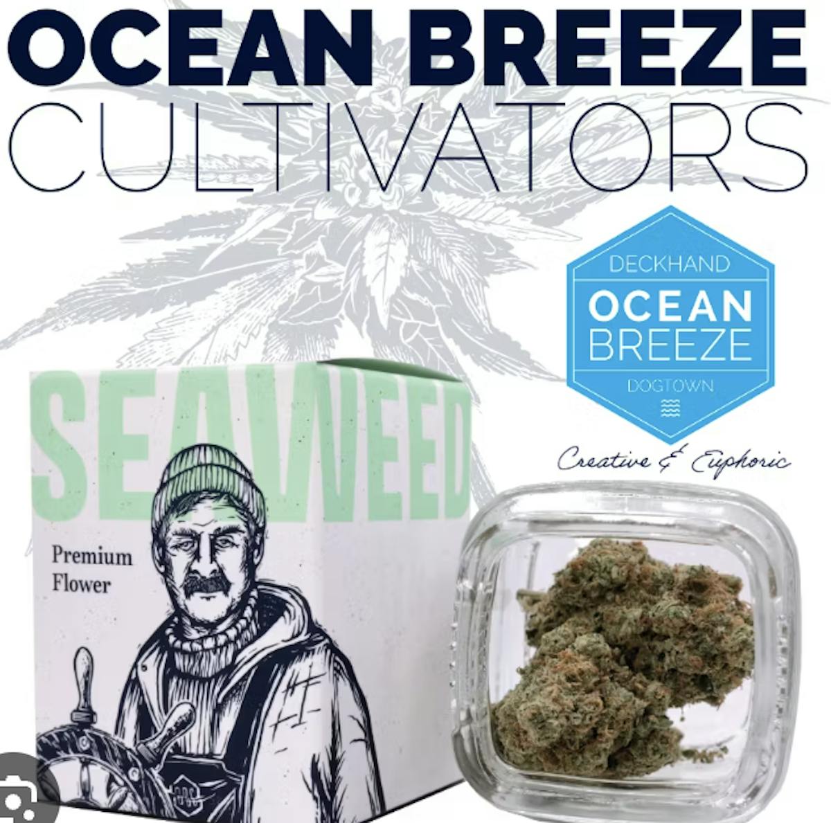 Ocean Breeze Zkittlez x Chem 91 3.5g 1/8oz Flower | Ocean Breeze |