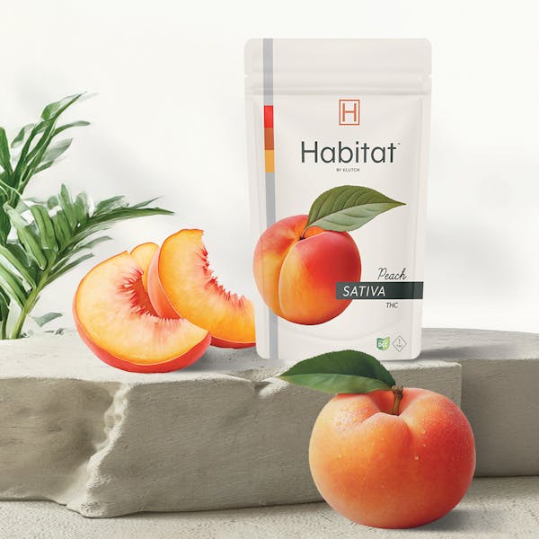 Pine Berry Sorbet | 2.83g Flower | Habitat |