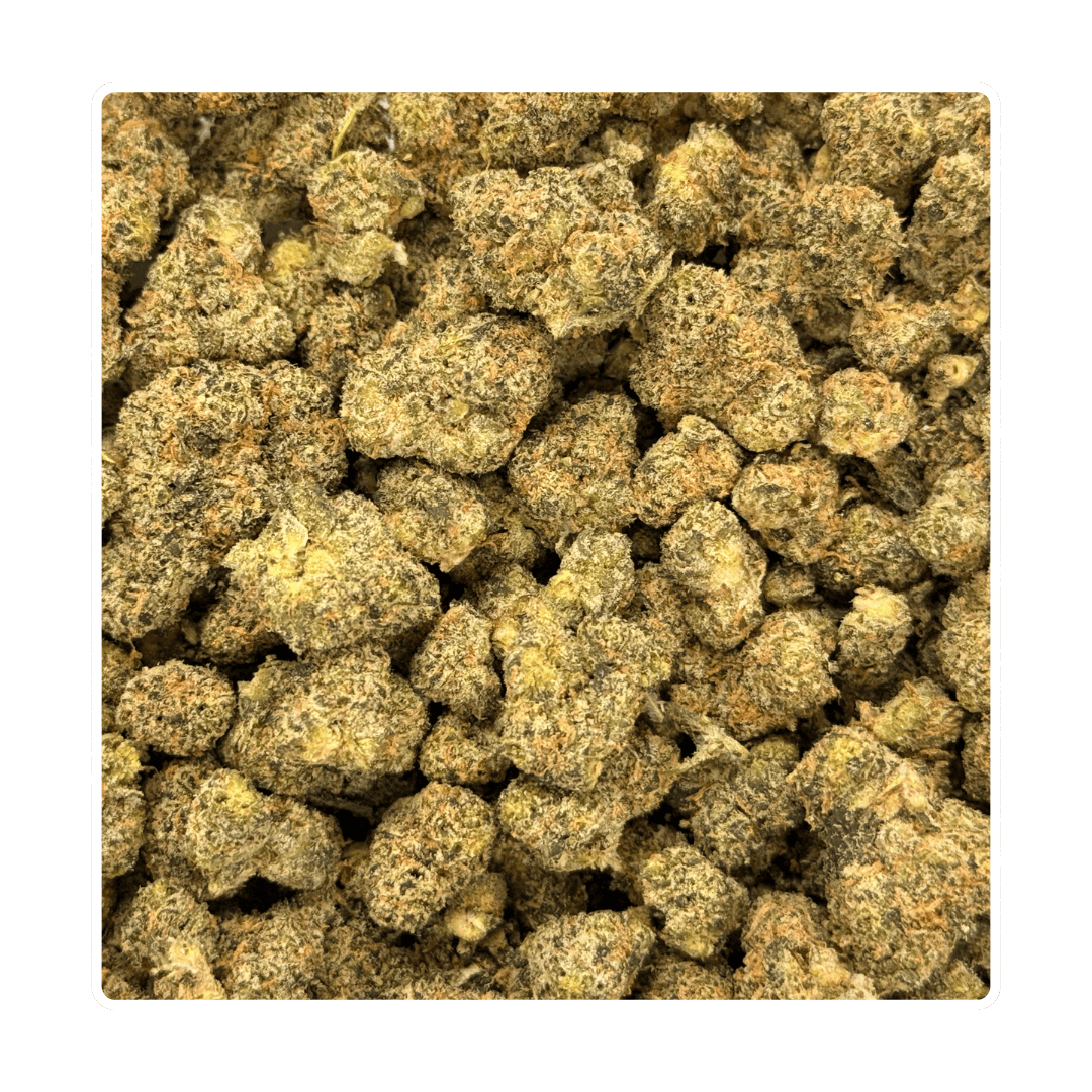 Product Image Alt