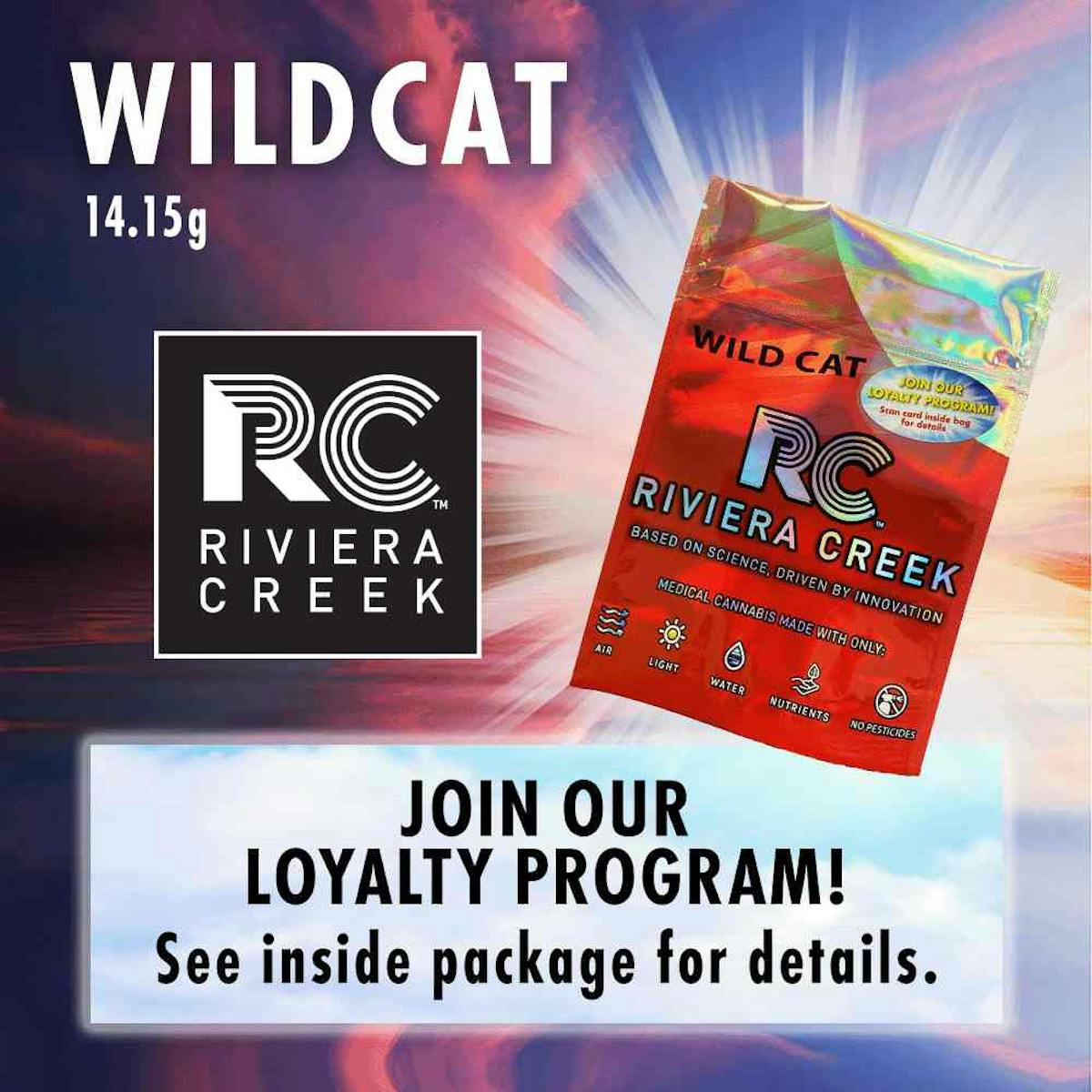 Photo of Wild Cat