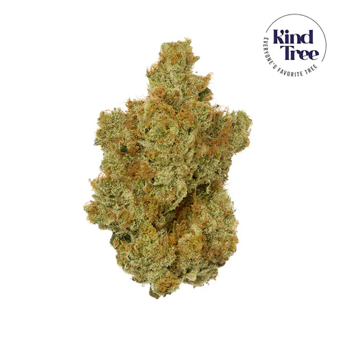 Taco Cat 3.5g – Kind Tree (Pre-Pack)-active