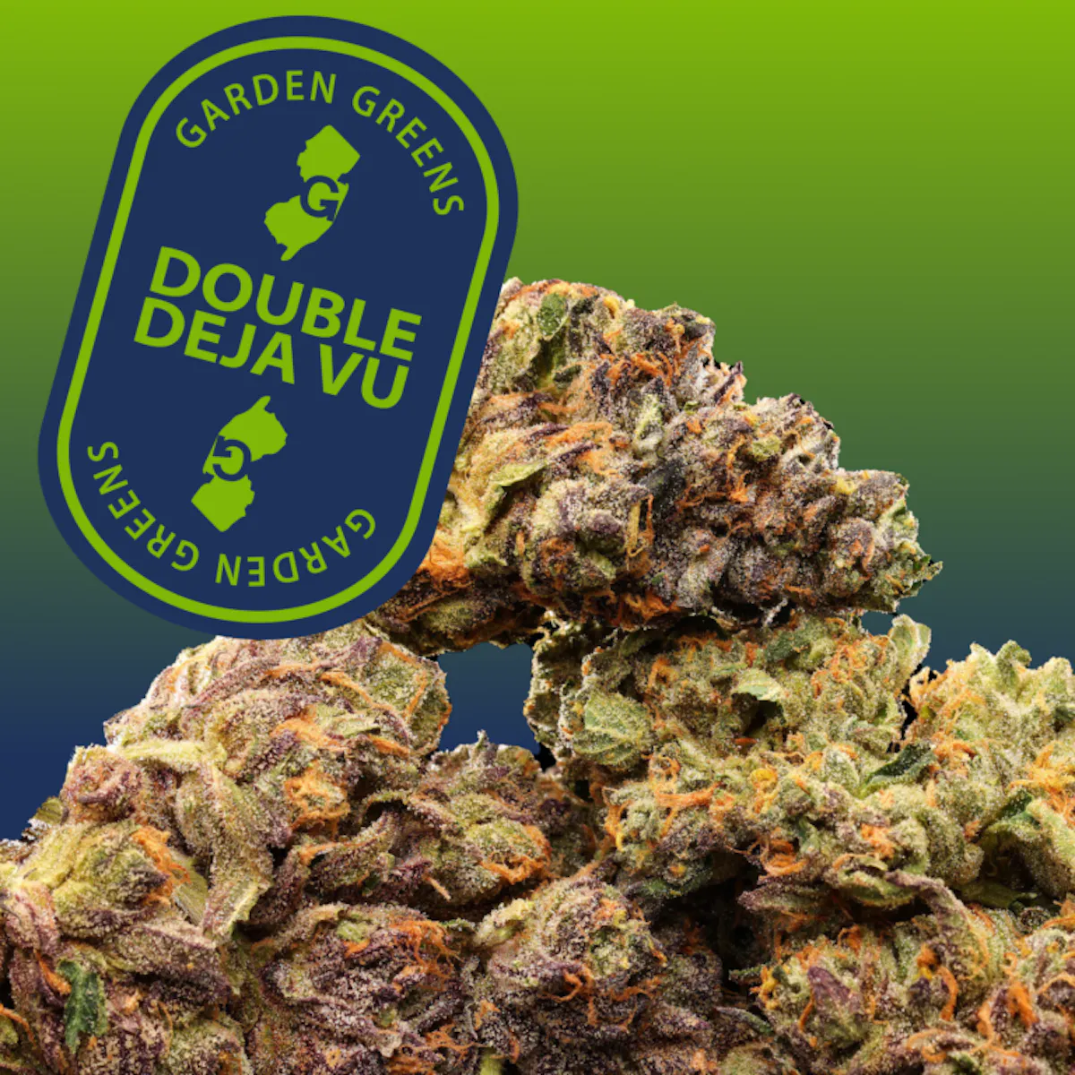 FLUX 花柄ビンディング オリーブグリーン　GS Garden Greens | Double Deja Vu | 3.5g 1/8oz Flower | Garden Greens |