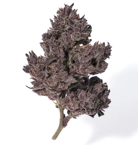 Alchemy Pure | Blackstrap | Dime Bag .7g-active