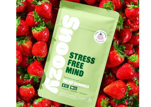 Snoozy | Stress Free Mind | Strawberry Relief Gummies | 20pk-active