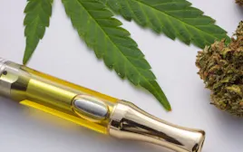 Vaporizers category image