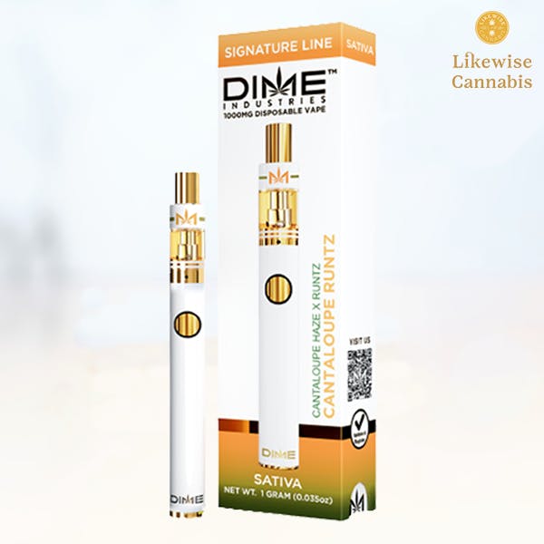 cantaloupe disposable vape Disposable Vapes Online main image 0