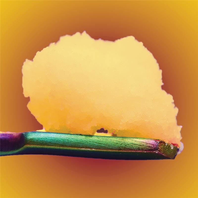 Photo of Jealousy x TMintz Subcritical Badder | 1g