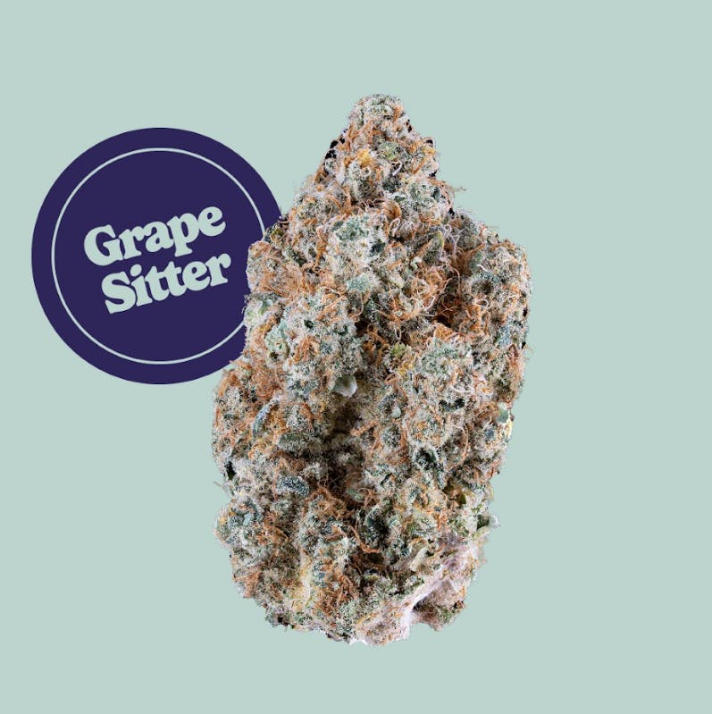 Kind Tree (TerrAscend) Grape Sitter | Flower | 3.5g - Union Chill
