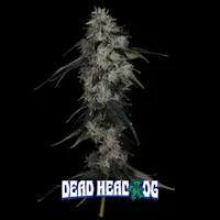 Product Aura Cannabis Co. - Dead Head OG Flower (3.5g)