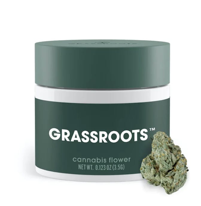 Flower | Grassroots | Gush Mints | 7g