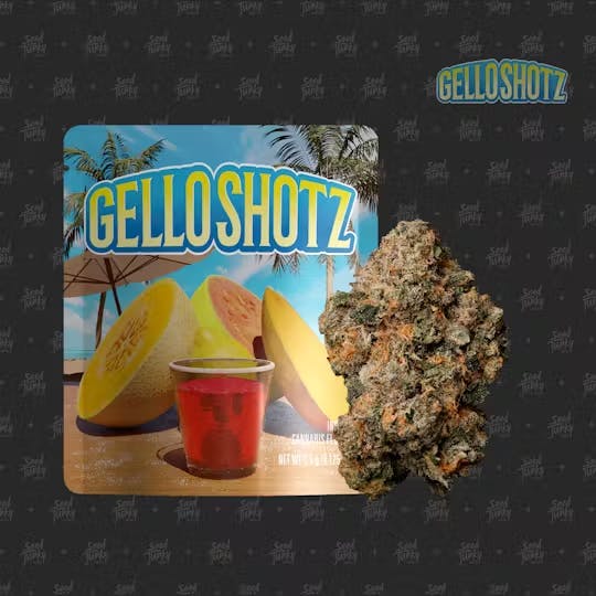 Product: SEED JUNKY | GELLO SHOTZ - PREPACK HYBRID