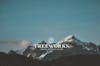 TREEWORKS - 7/10!