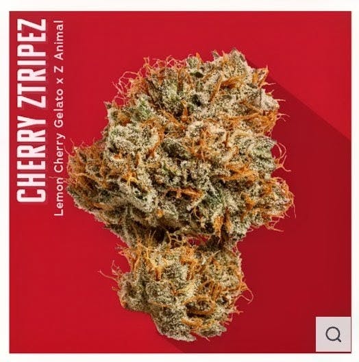Product Cherry Ztripez | Flower