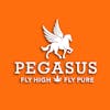 30% Off Pegasus Vapes and Pre Rolls