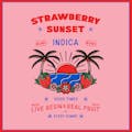 Momo: CBN 1:1 Strawberry Sunset - Live Resin Gummies 10pk 150g