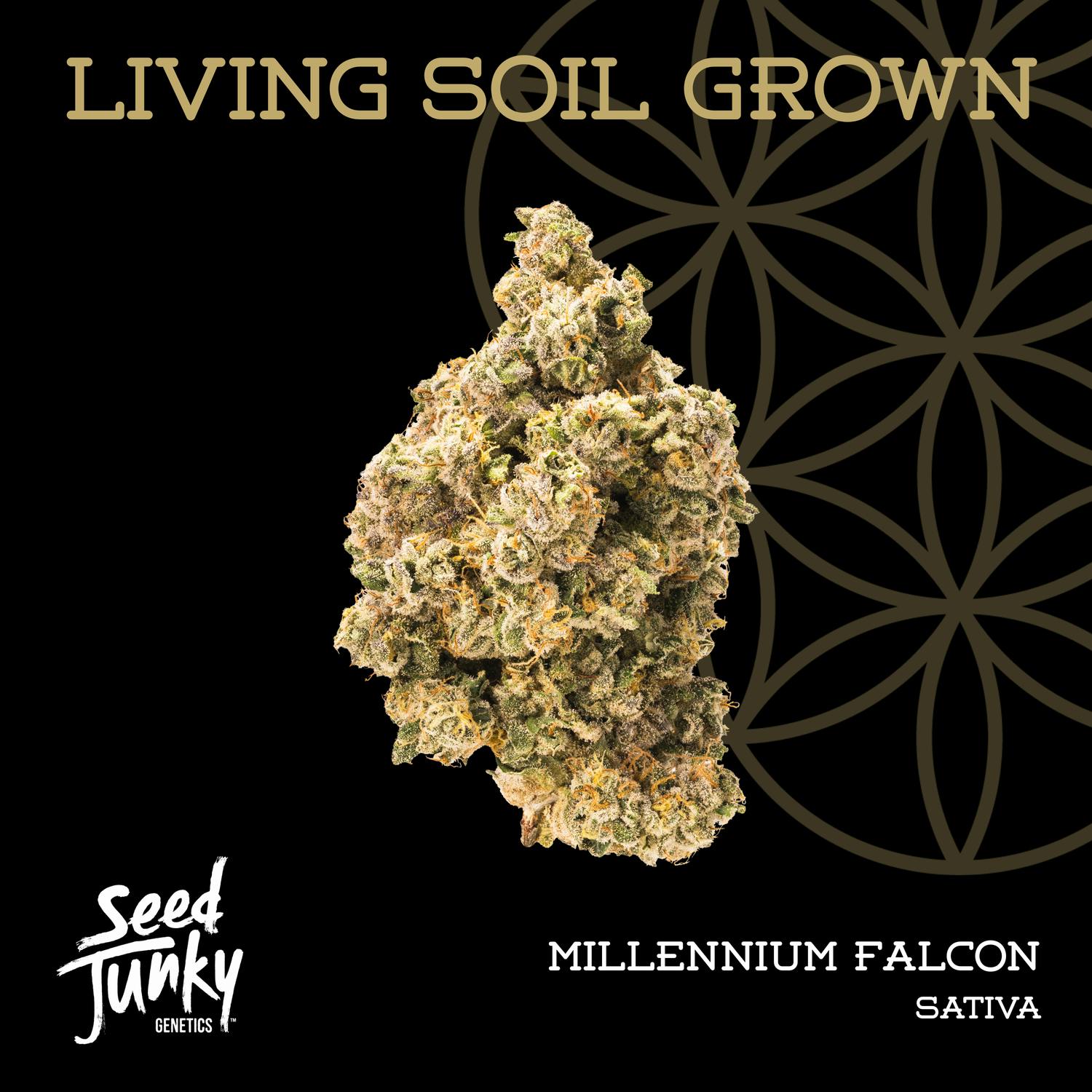 Product: Flower of Life | Bulk Bud - Millennium Falcon
