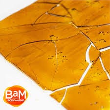 BaM - Cured Shatter - Pineapple Breeze (H) (1.0g)