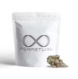 Product Perpetual | Permanent Marker | Shake