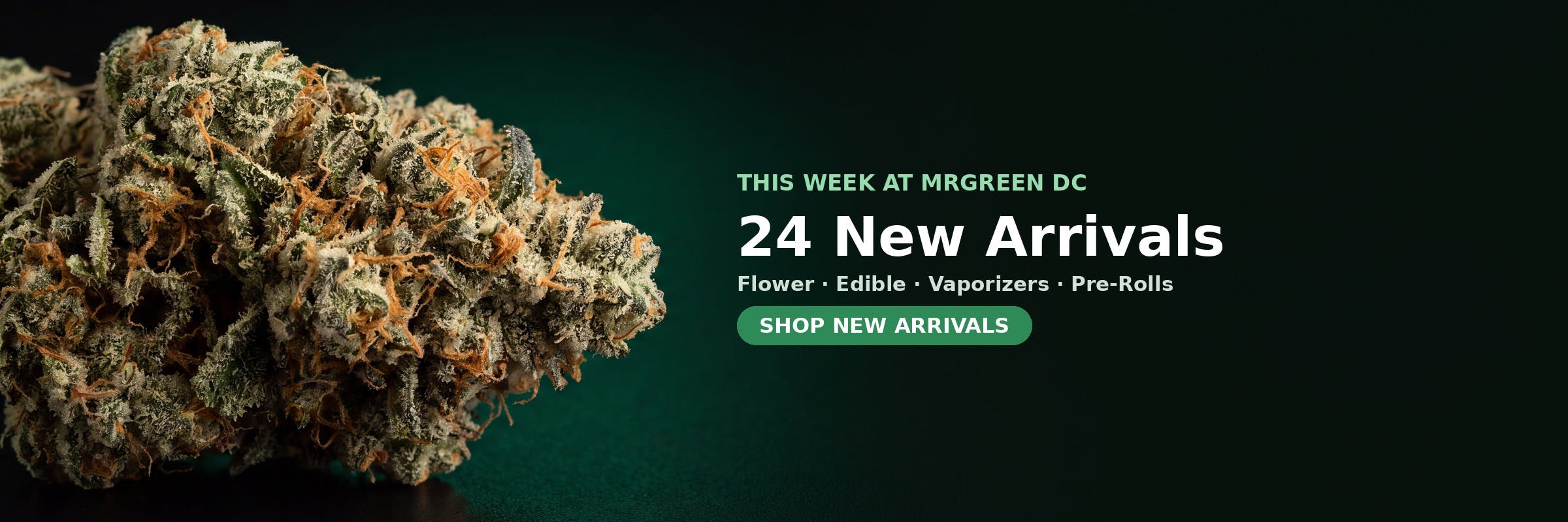 24 new arrivals this week at MrGreen DC