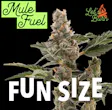Let's Mule Fuel Fun Size Budz