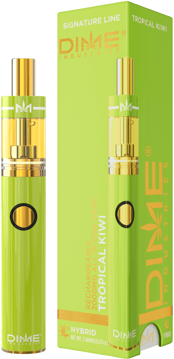 【Ebi Botanical Life】 Designart 'Ancient Plant Life IX' Traditional Framed Art Print