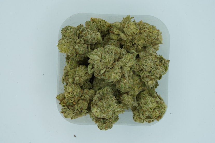 DogHouse Flower D'ope