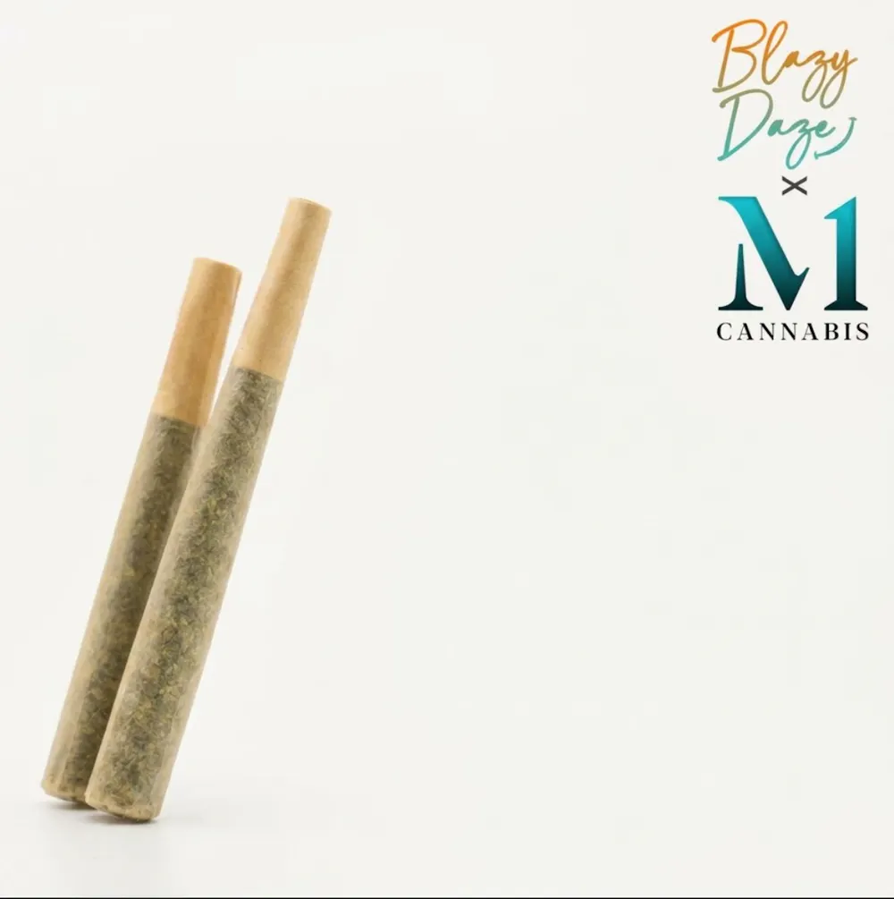 Product Blazy Daze - Peanut Butter Z Pre-Roll 0.5g 2pk (1g)