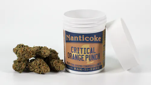 Nanticoke Critical Orange Punch Flower 3.5g-1