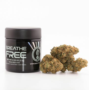 Breathe Free | Guava Biscotti | Flower