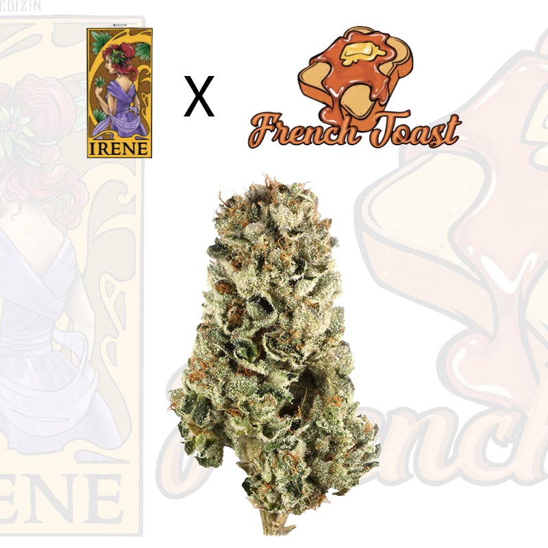 Irene x French TST - 