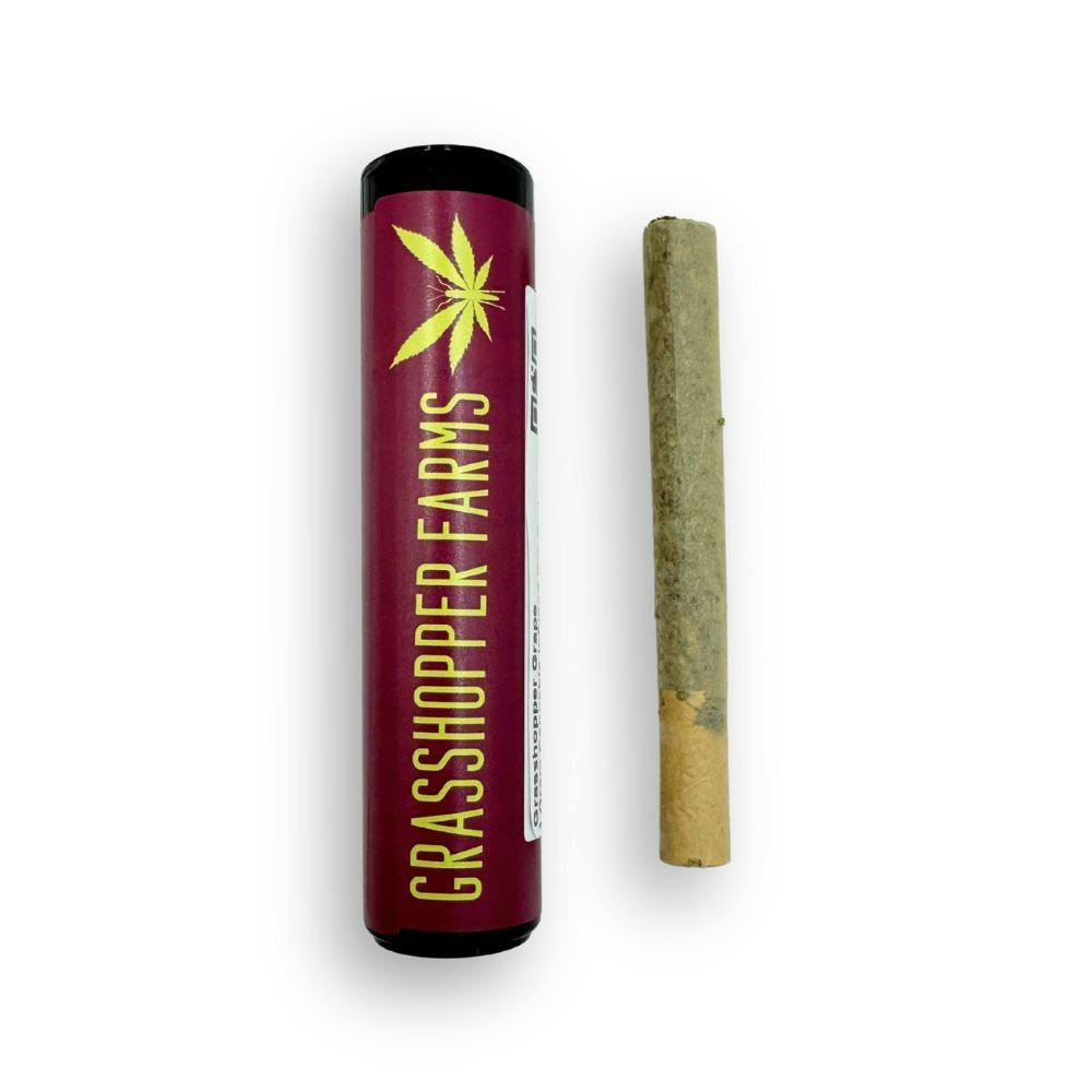 Product: Grasshopper | Apple Jacks Haze 1g Infused Pre-Roll