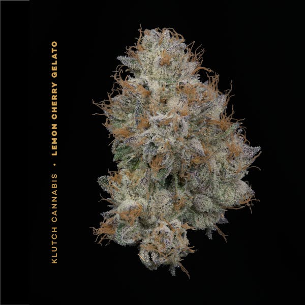 Secret Skunk Small Buds 14.15g Flower | Eden's Trees |