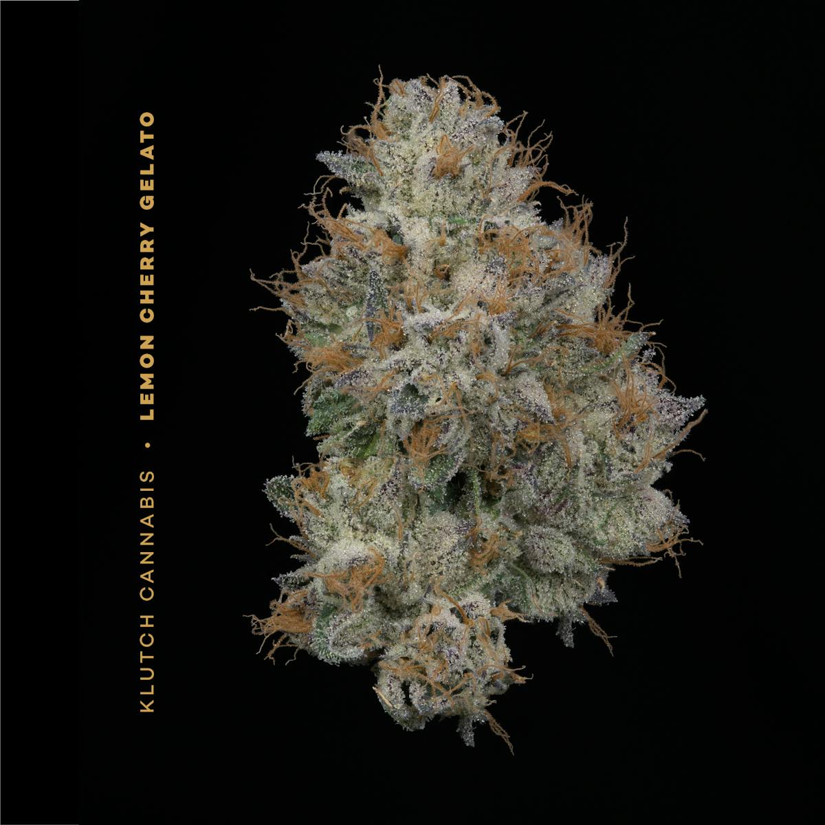 Photo of | Lemon Cherry Gelato |