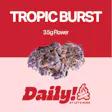 Tropic Burst Daily!