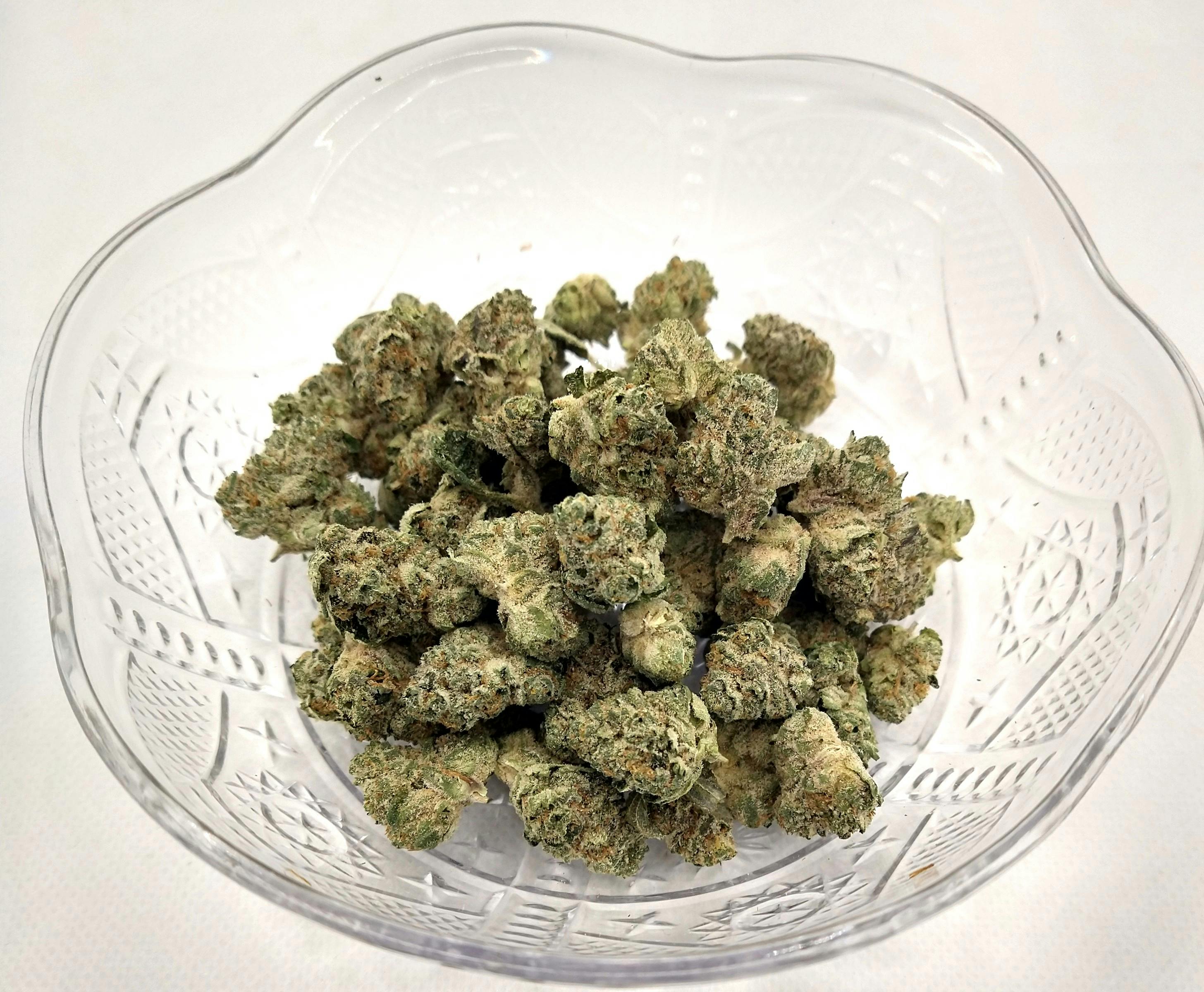 Product: CC | Pine Cheese | Hybrid | Bulk Flower | Platinum