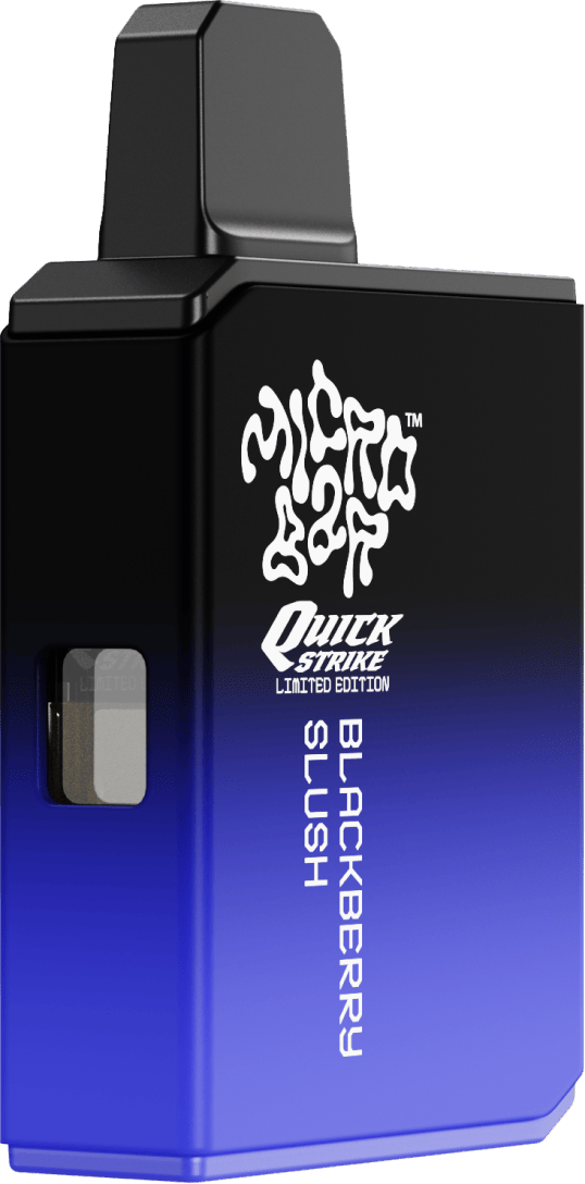 elf bar vape uk Disposable vape without nicotine - Puff 800 - Blackberry Ice | puff 0%,zero  nicotine main image 0