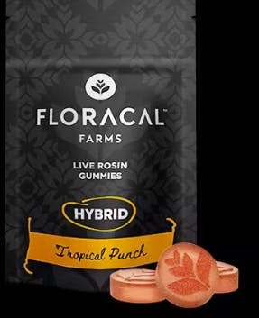 Product 5mg Tropical Punch Live Rosin Gummies 20pk