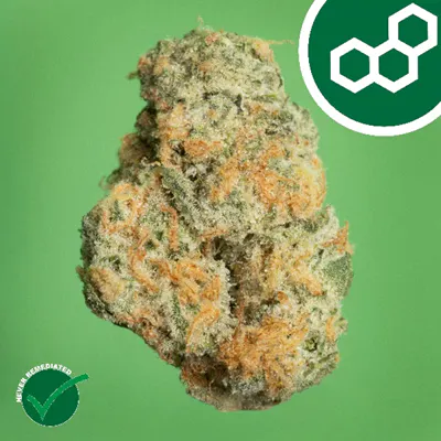 Shop the best cannabis products and deals in Hamden - High Profile