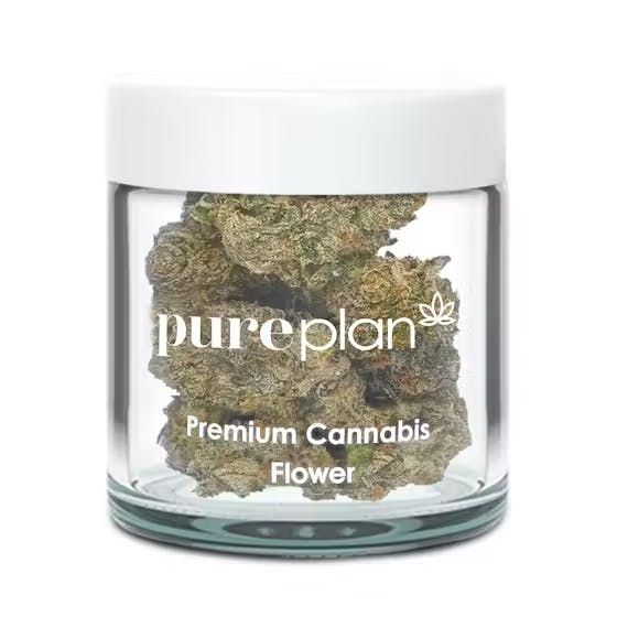 Banana Dulce #8 (Tops)
