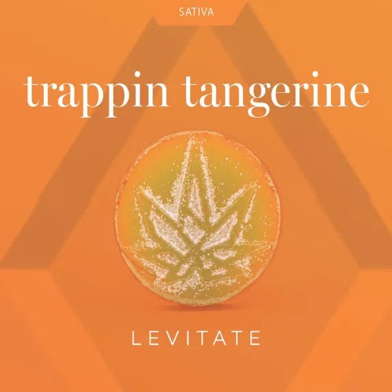 Levitate - 200mg Single Gummy - Trappin Tangerine